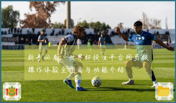 新手必看：世界杯投注平台网页版操作体验全指南与功能介绍