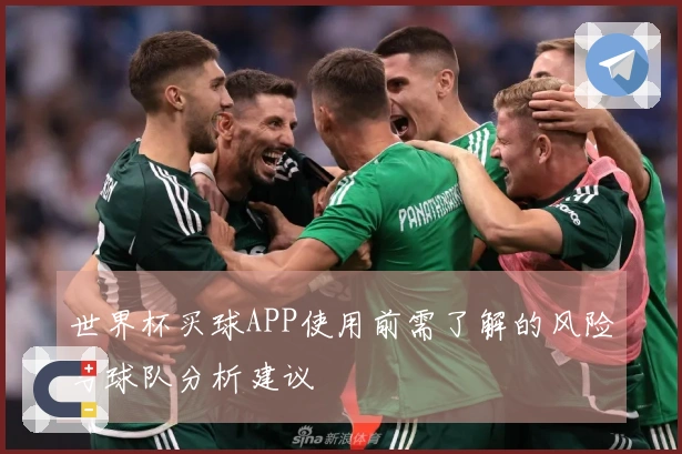 世界杯买球APP使用前需了解的风险与球队分析建议