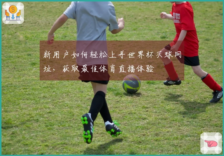 新用户如何轻松上手世界杯买球网址，获取最佳体育直播体验