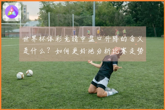 世界杯体彩竞猜中盘口升降的含义是什么？如何更好地分析比赛走势？