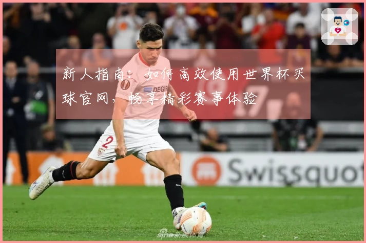 新人指南：如何高效使用世界杯买球官网，畅享精彩赛事体验