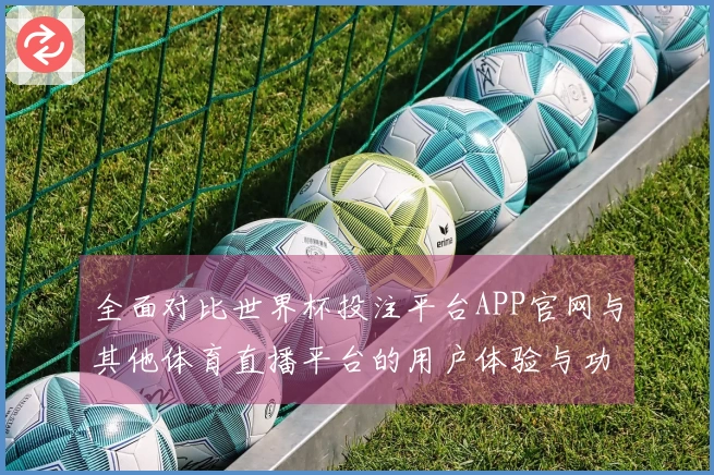 全面对比世界杯投注平台APP官网与其他体育直播平台的用户体验与功能分析