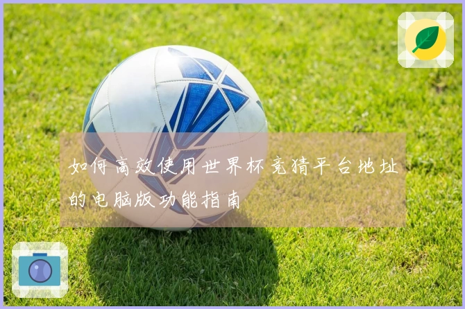 如何高效使用世界杯竞猜平台地址的电脑版功能指南