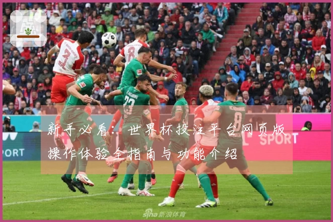 新手必看：世界杯投注平台网页版操作体验全指南与功能介绍