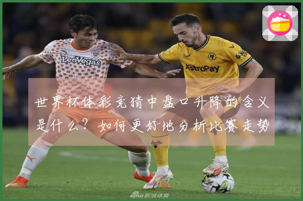 世界杯体彩竞猜中盘口升降的含义是什么？如何更好地分析比赛走势？
