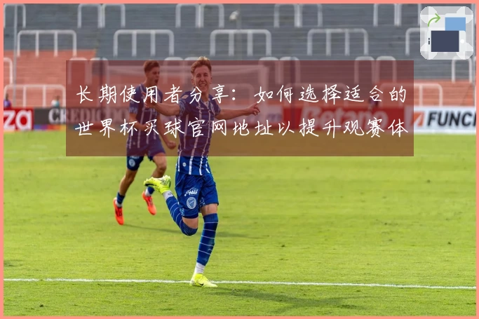 长期使用者分享：如何选择适合的世界杯买球官网地址以提升观赛体验