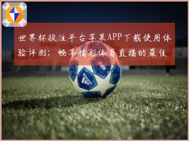 世界杯投注平台苹果APP下载使用体验评测：畅享精彩体育直播的最佳选择