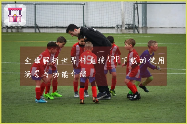 全面解析世界杯竞猜APP下载的使用场景与功能介绍
