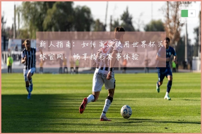 新人指南：如何高效使用世界杯买球官网，畅享精彩赛事体验