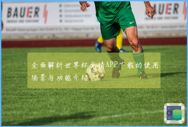 全面解析世界杯竞猜APP下载的使用场景与功能介绍